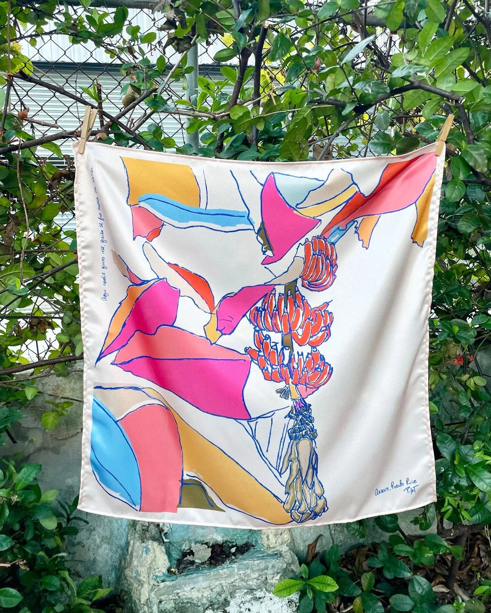 Añasco 2025 limited edition